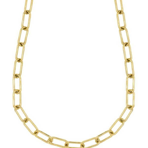 Corrente de Elo de Aço Inoxidável