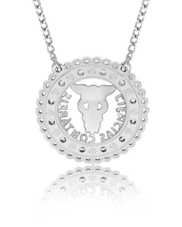 Corrente de Profissão Ciências Contábeis de Aço Inox 316L Cravejada com Zircônias - Imagem 3