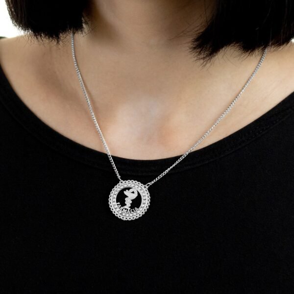 Corrente de Profissão Farmácia de Aço Inox 316L Cravejada com Zircônias