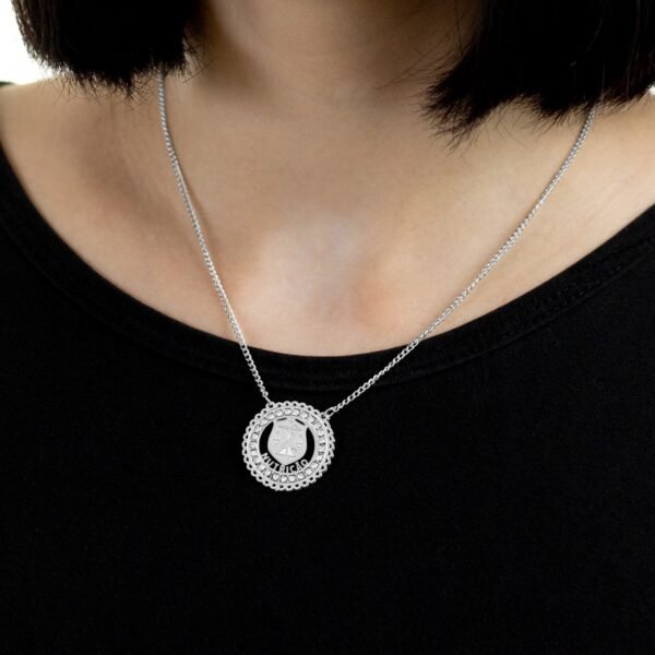 Corrente de Profissão Nutrição de Aço Inox 316L Cravejada com Zircônias