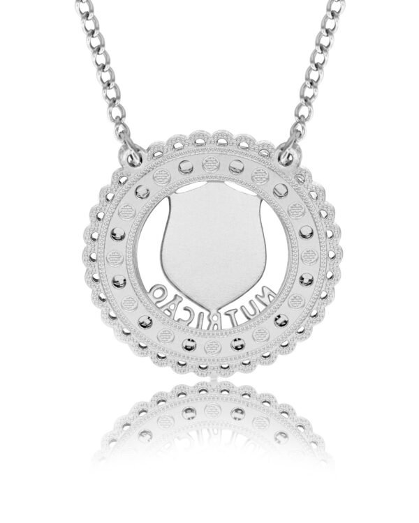 Corrente de Profissão Nutrição de Aço Inox 316L Cravejada com Zircônias - Imagem 3